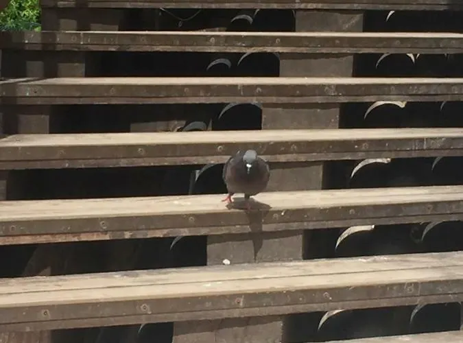 Tintoretto 1 Con Terrazza Sopra Il Tetto, 3 Bagni, 3 Grandi Da Letto, Super Nuovo